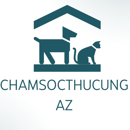 chamsocthucungaz.com